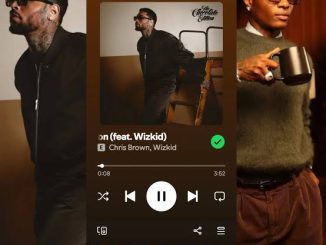 Chris Brown Ft Wizkid – Man On A Mission