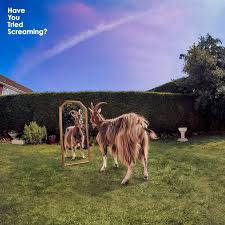 Daydreamers – Have You Tried Screaming?