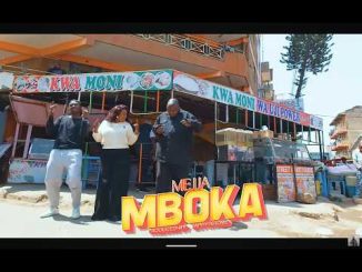 Mejja - Mboka