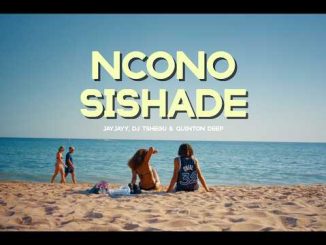 JayJayy, DJ Tshegu, Quinton Deep - Ncono Sishade