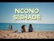 JayJayy, DJ Tshegu, Quinton Deep - Ncono Sishade