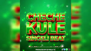DJ Willy TZ – Cheche Kule Singeli Remix