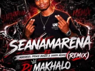 Makhadzi – Seanamarena