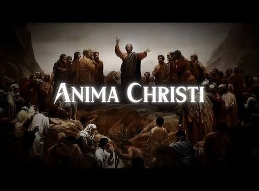 Hardknock – Anima Christi