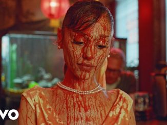 Ariana Grande - Petal