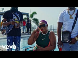 Gaza Indu - Lift This Brick